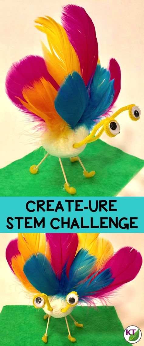 Food Chains And Food Webs, Steam Lab, Food Webs, Table Activities, Steam Lessons, Elementary Stem Activities, Living And Nonliving, Lab Ideas, Steam Challenges