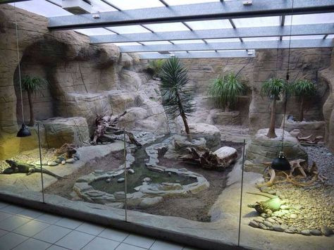 Zoo Exhibit, Snake Enclosure, Bearded Dragon Habitat, Tortoise Enclosure, Zoo Architecture, Turtle Habitat, Reptile House, Reptile Room, Reptile Tank