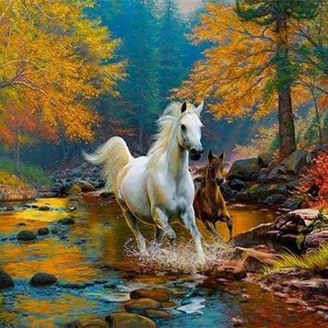 The Beauty of Horses Horses Artwork, Magical Autumn, Horse Paintings, Horse Artwork, Horse Drawings, Equine Art, White Horses, Pretty Horses, Horse Pictures