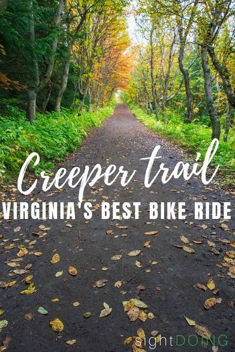 Virginia Creeper Trail, Bicycle Trail, Virginia Creeper, Bicycle Travel, Virginia Travel, Bike Trail, Best Bike, Bike Route, Virginia Is For Lovers