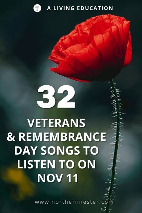 Veterans Day Songs To Listen To On Nov. 11 - Northern Nester Veterans Day Program Ideas, Veterans Day Songs, Veterans Day Speeches, Veterans Appreciation, Veterans Day Celebration, Nursing Home Activities, Senior Center, Patriots Day, Praise Songs