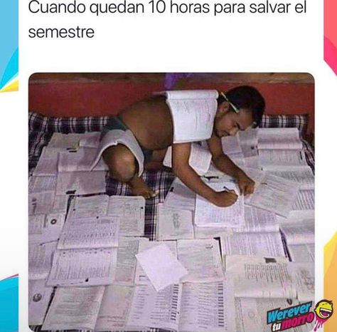 Si se puede xD University Memes, Studying Funny, Studying Memes, College Memes, Kpop Meme, Mood Humor, Funny Reaction Pictures, Reaction Pictures, Mood Pics