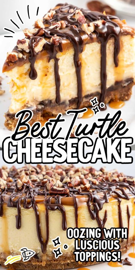 Cream Cheese Turtle Cake, Chocolate Caramel Pecan Cheesecake, Turtle Brownie Cheesecake, No Bake Turtle Cheesecake, Ultimate Turtle Cheesecake Recipe, Turtle Cheesecake Recipe, Chocolate Caramel Cheesecake, Cheesecake Ideas, Yummy Nummies