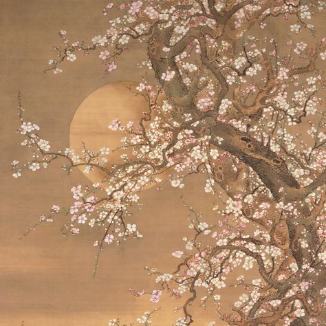 Pink and White Plum Blossoms in Moonlight, Sō Shizan | Mia Plum Blossom Aesthetic, Display Artwork, Cherry Blooms, White Plum, Plum Blossoms, Drawing Fashion, Blossoms Art, Korean Art, Pink Blossom