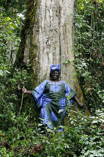 African environmentalist and Nobel Peace prizewinner Wangari Maathai who has died at 71 Women Activists, Wangari Maathai, Mother Africa, Sowing Seeds, Hear Me Roar, Extraordinary Women, Nobel Peace Prize, Green Belt, 1 April