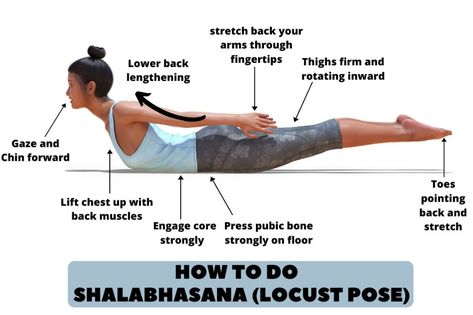 Shalabhasana (Locust Pose): Meaning, Steps, Benefits, & Precautions - Fitsri Shalabhasana Pose, Locust Pose Yoga, Locust Pose, Back Strengthening Exercises, Become A Yoga Instructor, Yoga Information, Yoga For Balance, Yoga Illustration, Basic Yoga