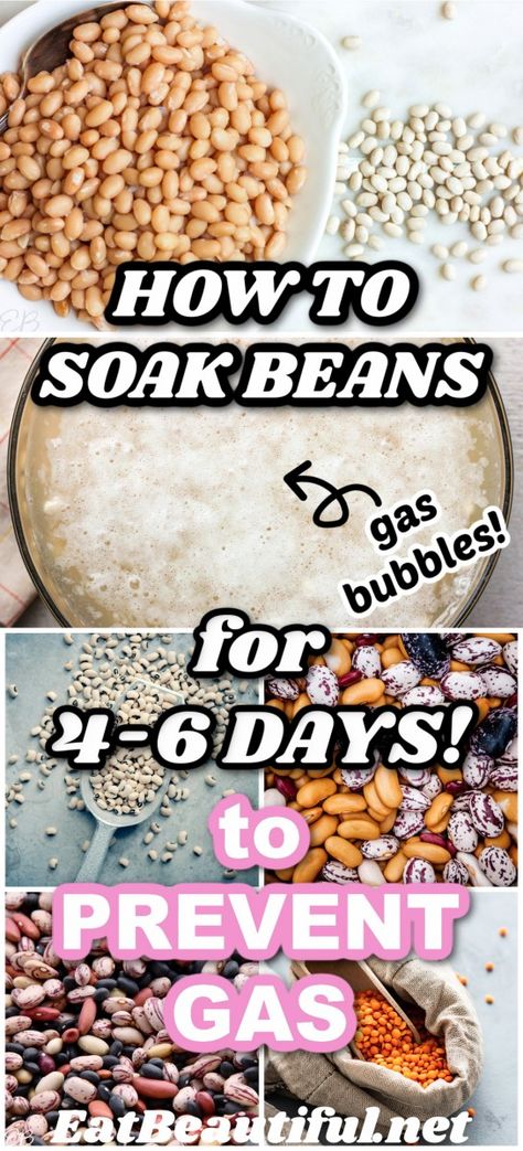 How & Why to Soak Beans for 4-6 days Days To Prevent Gas AND WHICH beans do YOU digest best looks at what actually happens when you eat beans that have been soaked for 4 to 6 days (nothing, no gas!) AND, just as importantly, which beans does YOUR body digest best! | Eat Beautiful | recipes | health articles | DIY | natural health | digestion | how to soak beans | how to soak beans overnight | how to soak beans instant pot | slow cooker | how to prevent gas from beans | how to prevent gas || #gas Cooking Kidney Beans, Beans Instant Pot, Soak Beans, Dry Beans Recipe, How To Make Beans, Eat Beautiful, Instant Pot Slow Cooker, Beautiful Recipes, How To Soak Beans