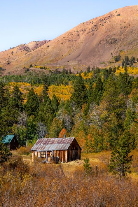 Grand Falls, Wooden Hut, Fall Lovers, Fall Road Trip, Red Lake, Hope Valley, Twin Lakes, Wooden Buildings, Scenic Roads