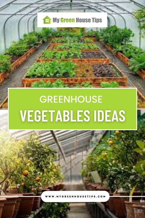 "Unleash your creativity with greenhouse vegetable ideas on Pinterest. Explore a diverse range of vegetables perfect for greenhouse cultivation, from vibrant heirloom tomatoes to leafy greens and exotic peppers. Find inspiration, growing tips, and mouthwatering recipes to make the most of your greenhouse harvest." Ideas For Inside Greenhouses, Greenhouse Veggie Garden, Heat Greenhouse, Vegetables Ideas, Greenhouse Tomatoes, Vegetable Ideas, Greenhouse Vegetables, Companion Gardening, Indoor Farming