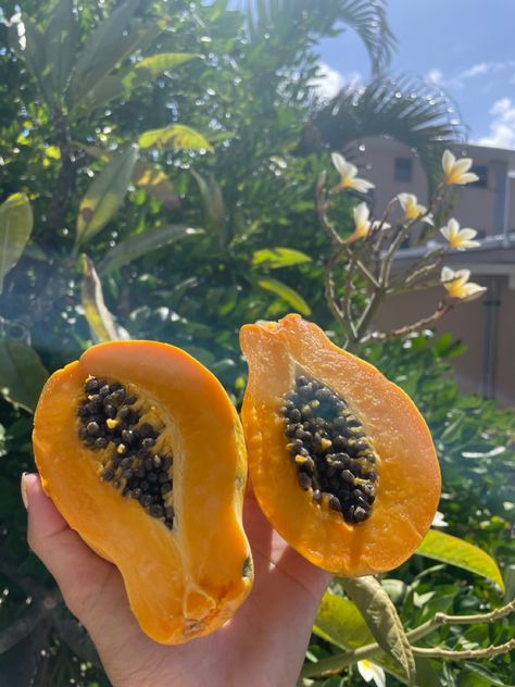 Idol Oc, Papaya Recipes, Water Fruit, Tropical Summer, 2024 Vision, Summer Fruit, Latin America, Smooth Texture, Taste Buds