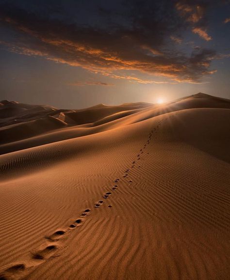 1x.com • Arts Movement on Instagram: “. Photographer @hamed.photography Selected by @makiko_makomo 1x.com is the original community for curated photography since 2007. Join…” Desert Background, Desert Area, Desert Photography, Beautiful Angels Pictures, Desert Life, Desert Art, Night Landscape, Wallpaper Space, Angel Pictures