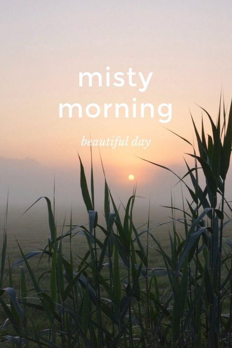 Misty Morning Quotes, Living Vintage, Misty Morning, Flowers For You, Morning Beautiful, The Promise, Trip Ideas, A Beautiful Day, Culture Travel