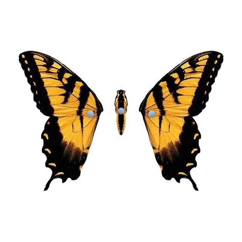 Paramore Butterfly Tattoo, Brand New Eyes Paramore, Paramore Butterfly, Paramore Logo, Zoe Murphy, Paramore Wallpaper, Paramore Tattoo, Yellow Vibe, Paramore Band