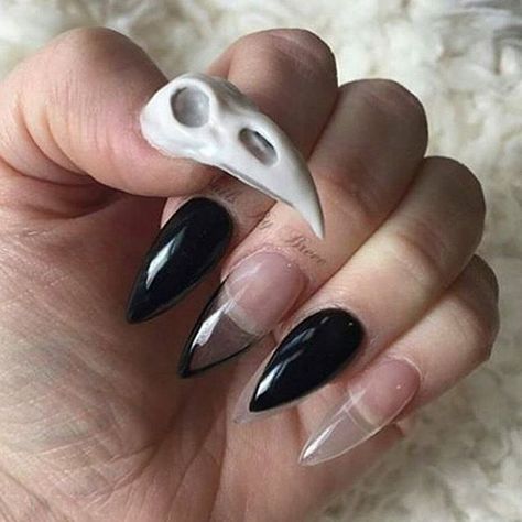 Hand sculpted acrylic bird Skull Manicure by @nailsbybreee Sharp Claws, Skull Nails, Witchy Nails, Sculpted Nails, Punk Nails, Gothic Nails, Goth Nails, Bird Skull, Dark Nails