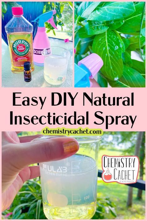 Do you want an easy more natural way of keeping bugs from eating your plants? Try our easy DIY Insecticidal soap spray! Works for all types of insects and will keep them from destroying leaves. Learn how to make it on Chemistry Cachet Diy Plant Insecticide, Homemade Insecticidal Soap, Homemade Insecticide For Plants, Insecticidal Soap Recipe, Diy Insecticidal Soap, Insecticide For Plants, Homemade Bug Spray Recipe, Bug Spray For Plants, Garden Fertilizers