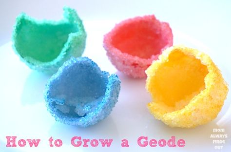 how to grow a crystal geode Borax Geodes Egg Shells, Borax Crystals Easter Eggs, Grow A Crystal, Diy Cristals, Messy Science, Egg Experiment, Egg Experiments, Borax Crystals, Growing Crystals