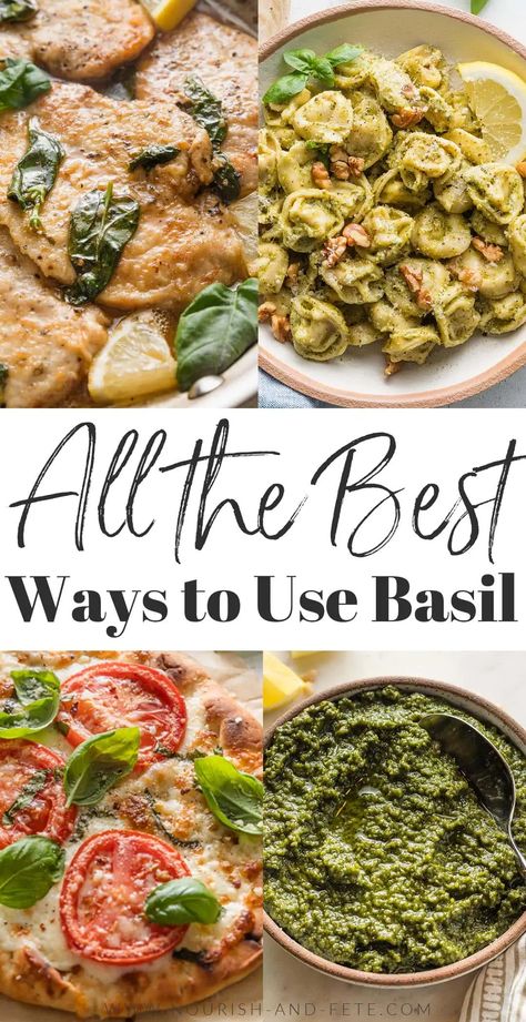 Basil is the ultimate herb: a little sweet, a little savory, totally vibrant, and the easiest to grow at home, regardless of whether you have a big space or not. If you are lucky enough to have more basil than you know what to do with, read on for some ideas to take your basil usage beyond pesto and into creative, new, and delicious territory. Dinners With Basil, Cooking With Basil, What To Make With Fresh Basil, Recipes With Basil Pesto, Basil Pesto Recipe Meals, What To Do With Pesto, Basil Recipes Dinner Ideas, Recipes Using Basil, Basil Dishes