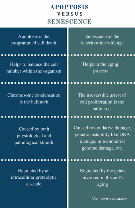 Difference Between Apoptosis and Senescence Check more at https://in4arts.com/difference-between-apoptosis-and-senescence-2.html Science Flashcards, College Biology, Radiation Oncology, Biochemistry Notes, Biology College, Review Notes, Nursing 101, Molecular Genetics, Mcat Study