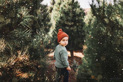 Only Child Christmas Photo Ideas, Toddler Tree Farm Photos, Toddler Christmas Tree Pictures, Little Boy Christmas Pictures, Kids Christmas Tree Farm Pictures, Christmas Shoot Outdoor, Christmas Tree Farm Photoshoot Ideas, Toddler Boy Christmas Pictures, Family Christmas Pictures Tree Farm