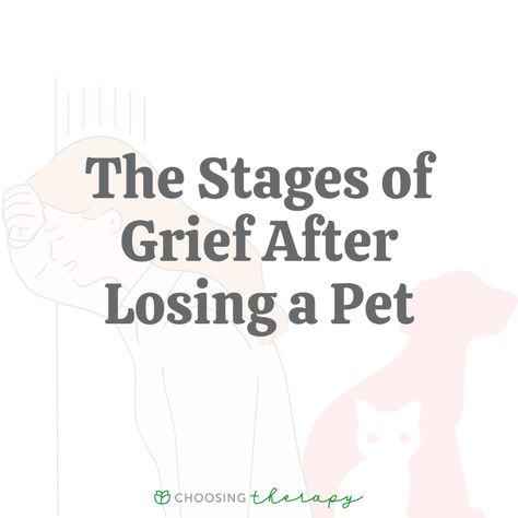 Pet Grieve Quotes, Coping With Pet Loss Cats, Childhood Pet Loss, Griefing Your Pet Quotes, Grieve Loss Of Pet, How To Memorialize A Pet, How To Grieve A Pet, Griefing Your Dog, Griefing Your Pet