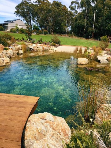 a natural swimming pool clad with stones and rocks, with water plants and a wooden deck is a good place for swimming Build A Pond, Swim Pond, Country Patio, Swimming Pool Pond, Pond Kits, Building A Pond, Natural Swimming Ponds, Wooden Deck, Pool Landscape Design