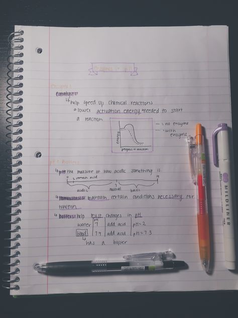 Notes for Biology! I used the Pilot Juice pens in .38 and the mildliners in mild violet. Pilot Study Notes, Notes For Biology, Pilot Notes, Pilot Juice Pens, Studying Inspiration, Pilot Study, The Pilot, Study Inspiration, Study Notes