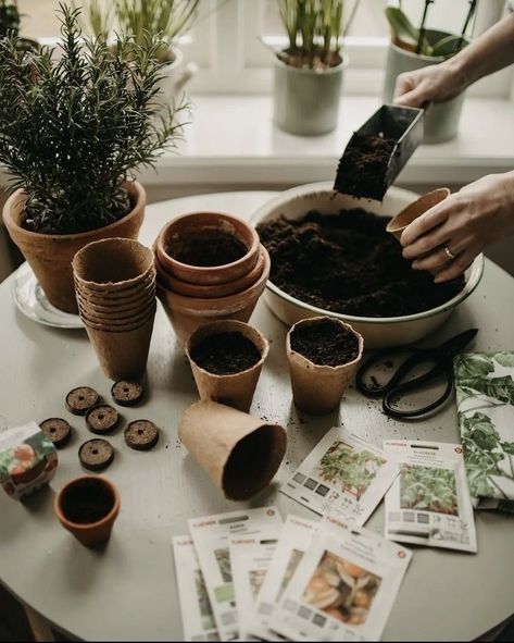 Unconventional Wisdom Gardening Photography, Spring Mood, Plant Photography, Boho House, Potting Shed, Slow Life, Plant Mom, Slow Living, Kitchen Garden