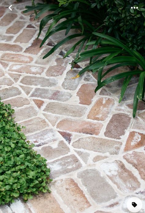 Front Stone Walkway, Concrete Driveway With Paver Border, Garden Footpath Ideas, Outdoor Paths And Walkways, Brick House Walkway, Reclaimed Brick Pathway, Recycled Brick Path, Recycled Brick Paving, Brick Footpath