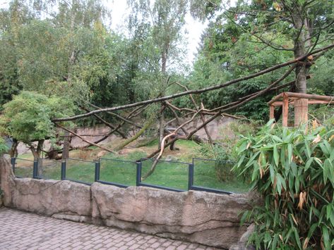 Red Panda Exhibit - ZooChat Panda Habitat, Zoo Boo, Zoo Inspiration, Zoo Design, Zoo Zoo, Fishing Pond, Zoo Project, Zoo Architecture, Zoo Ideas