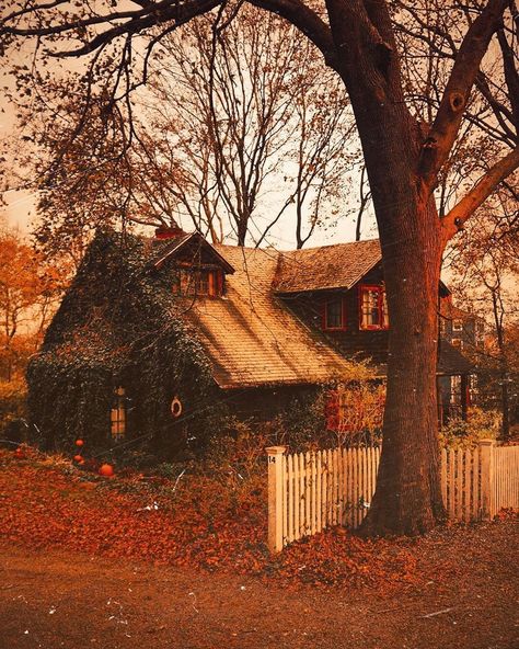 October Aesthetic, October Country, November Rain, 70s Aesthetic, Leaves Fall, Victorian House, Halloween Aesthetic, Season Of The Witch, Fall Inspo