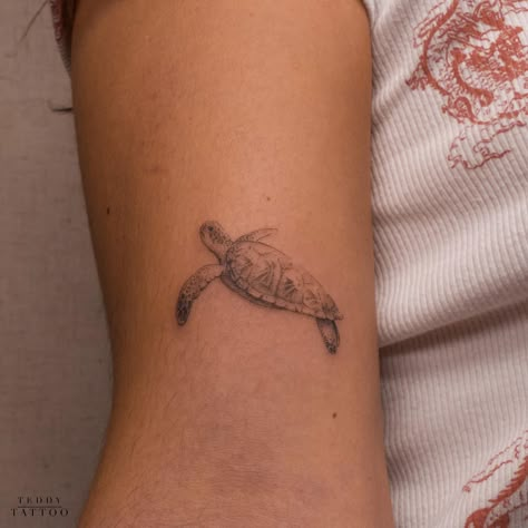 30+ Fine Line Tattoos for Minimalist Guys and Girls - 100 Tattoos Women Fine Line Tattoo, Dainty Tats, Small Turtle Tattoo, Beachy Tattoos, Pearl Tattoo, Shell Tattoos, Turtle Tattoo Designs, Ocean Tattoos, Sun Tattoos