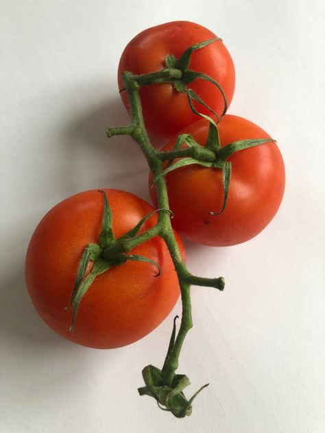 Tomato Reference Photo, Vegetables Reference, Tomatoes Aesthetic, Tomato Photography, Tomato Aesthetic, Tomatoes, Tomato Farming, Life Drawing Reference, Watercolor Subjects