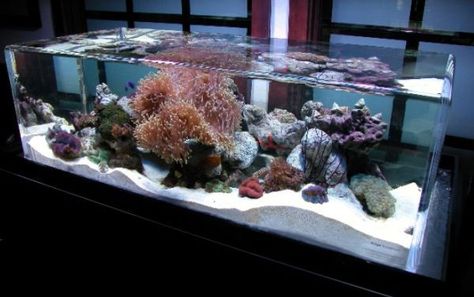 28 Modern Fish Tanks That Inspire Relaxation Modern Fish Tank, Custom Aquarium, Acrylic Aquarium, Amazing Aquariums, Cool Fish Tanks, Saltwater Fish Tanks, Infinity Pools, Salt Water Fish, Cool Fish