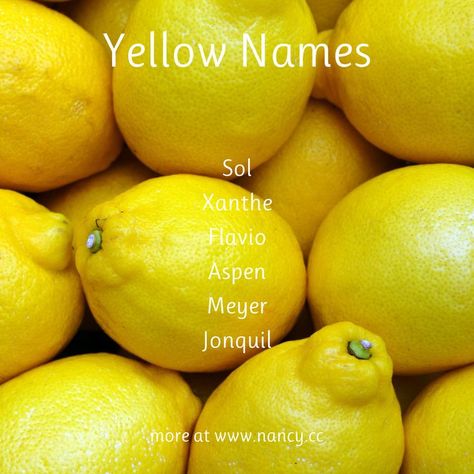 Baby names associated with yellow: Sol, Xanthe, Flavio, Aspen, Meyer, Jonquil, and many more. #yellow #sunshine #babynames Yellow Names, Ranking List, Yellow Sunshine, Novel Writing, Character Names, Aspen, Baby Names, Writing, Yellow