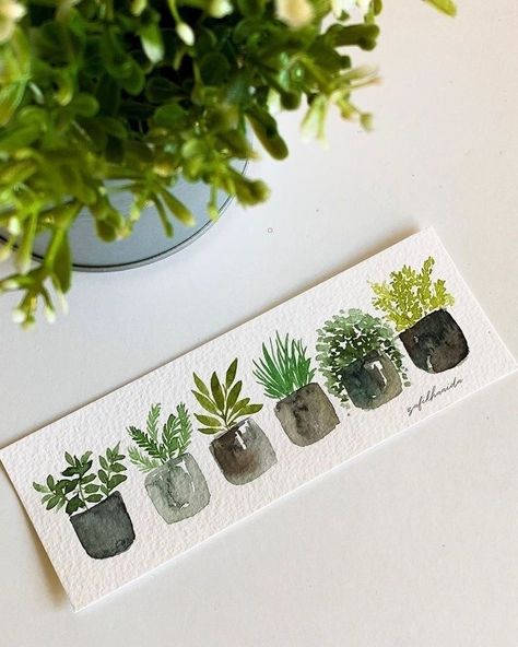 Aesthetic Cactus, Plants Aesthetic, Plants Cactus, Permaculture Design, Aesthetic Green, Soyut Sanat Tabloları, Watercolor Plants, Watercolor Art Lessons, Watercolor Inspiration