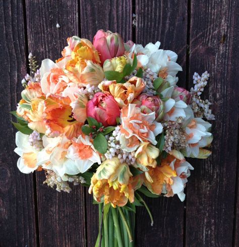 Parrot Tulips Bouquet, Pink Tulips Bouquet, Daffodil Bouquet, Pieris Japonica, Slow Flower, Tulip Wedding, Parrot Tulips, Tulip Bouquet, Spring Wedding Flowers