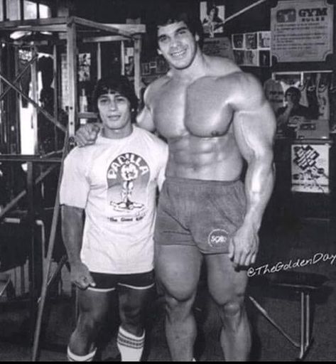 Danny Padilla, Lou Ferrigno, Aesthetics Bodybuilding, Frank Zane, Advanced Workout, Pumping Iron, Mr Olympia, Fitness Blogger, Fitness Instagram