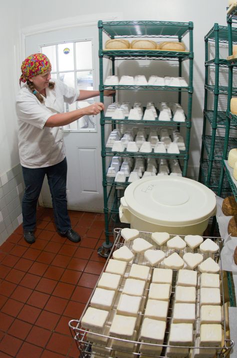 #goatvet likes this article about an award winning goat cheese farm in the USA called Looking Glass Creamery Cheese Farm, Farm Cheese, Cheese Making Recipes, Goat Barn, Cheese Factory, Cheese Maker, Cheese Making, Dairy Goats, Cheese Plant