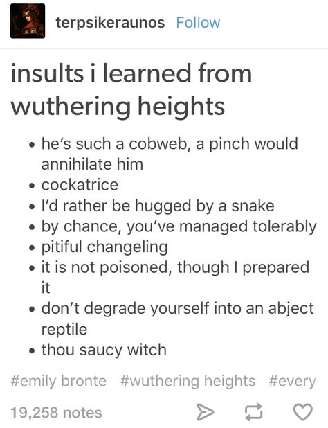 "Thou saucy witch" is overused by me XD Wuthering Heights Book, Wuthering Heights Summary, English Literature Students Memes, English Literature Memes Funny, Literary Humor, Books Memes So True, Literature Humor, Wuthering Heights, Literature Quotes