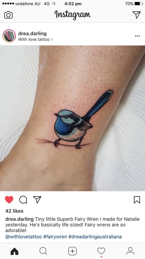 Fine Line Blue Bird Tattoo, Blue Wren Tattoo, Wren Tattoo, Bluebird Tattoo, Blue Wren, Fairy Wren, Stick N Poke Tattoo, Poke Tattoo, Stick And Poke