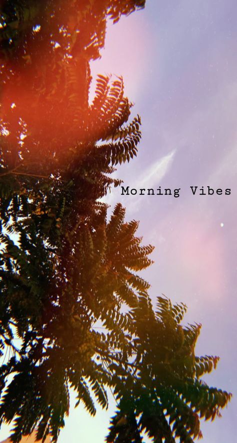 Morning Vibes Snapchat Story, Happy Images For Dp, Morning Vibes Aesthetic Wallpaper, Morning Vibes Photography Instagram, Fake Snapchat Streaks Morning, Morning Vibes Snap, Fake Insta Story Morning, Morning Vibes Photography, Morning Vibes Snapchat