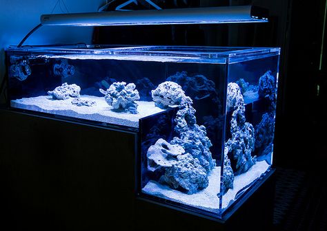 Amazing drop off reef tank Drop Off Reef Tank, Saltwater Tank Setup, Aquarium House, Tank Aquariums, Ultra Modern Furniture, Salt Water Tank, Marine Fish Tanks, Coral Reef Fish, Aquarium Set