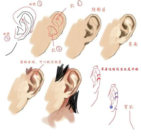 Digital Art Tips, How To Draw Ears, Anatomy Sketches, Digital Art Beginner, Art Help, Coloring Tutorial, Digital Painting Tutorials, Anime Drawings Tutorials, Anatomy Reference