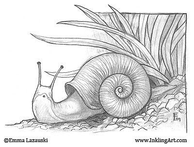 Snail Drawing Simple, Snail Sketch, Snail Drawing, Snail Illustration, African Snail, Inktober Ideas, Land Snail, Dragonfly Drawing, Snail Art