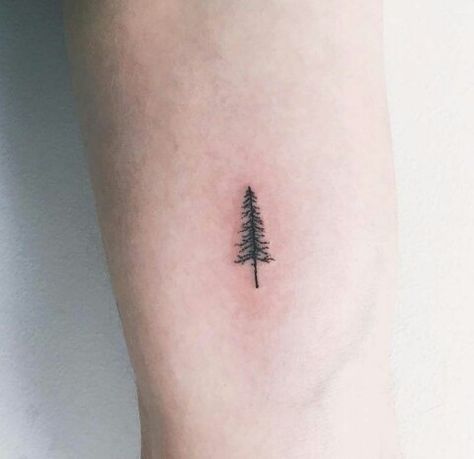 Oregon Coast Tattoo, Washington Tattoo Ideas, Tiny Tree Tattoo, Washington Tattoo, Dainty Flower Tattoos, Oregon Tattoo, Cute Tats, Tree Tattoo, Tattoo Inspo