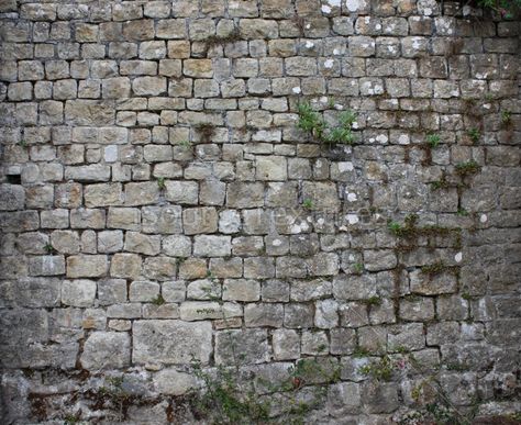 Castle Bricks, Castle Concept, Brick Background, City Photo, Castle