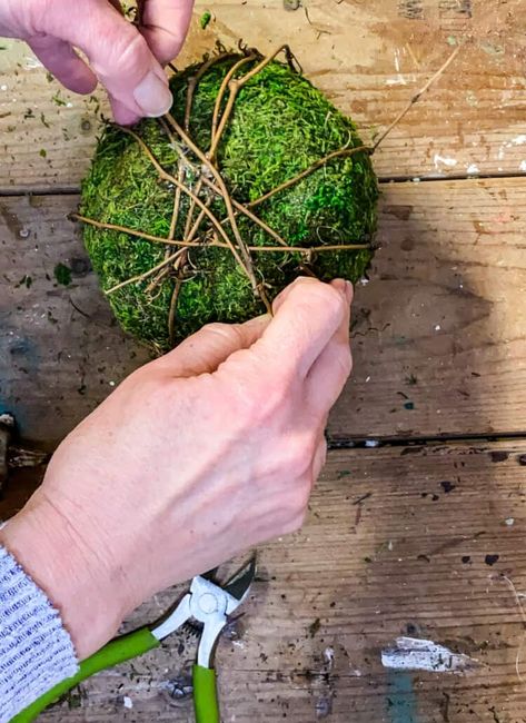 How To Make Moss Ball Topiaries - Cottage On Bunker Hill Diy Moss Ball, Topiary Decor, Easter Decorating Ideas, Grapevine Garland, Ball Topiary, Topiary Diy, Diy Moss, Heirloom Traditions Paint, Kissing Balls