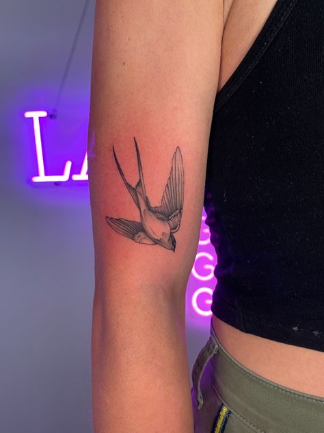 Fine Line Tattoo Forearm, Line Tattoo Forearm, Barn Swallow Tattoo, Golondrinas Tattoo, Swallow Bird Tattoo, New Age Tattoo, Traditional Swallow Tattoo, Tattoo Bicep, Age Tattoo