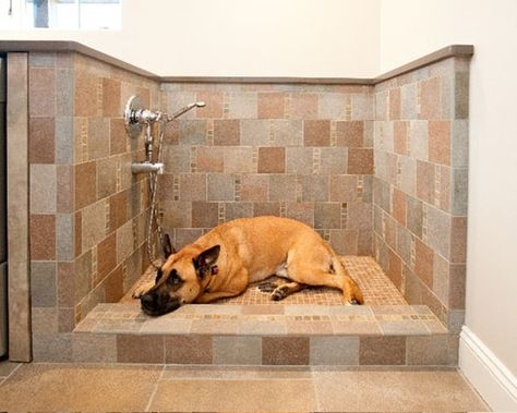 40 Easy Dog Wash Station Ideas at Home - Page 2 of 2 - Tail and Fur Dog Wash Station, Traditional Bathroom Tile, Traditional Laundry Room, Pet Washing Station, Wash Station, Laundry Room/mud Room, Shower Backsplash, Dog Washing Station, Pet Spaces