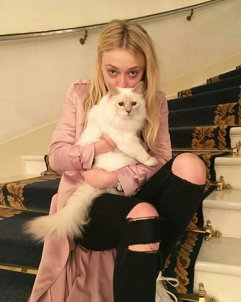 Dakota fanning and cat Fanning Sisters, Dakota And Elle Fanning, Dakota Fanning, Cat People, Elle Fanning, A Photo, Hollywood, Street Style, Actresses